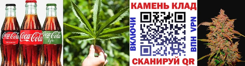 Canna-Cookies марихуана  Лесной 