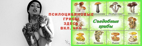 стафф Алексеевка