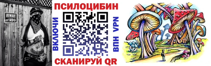 Псилоцибиновые грибы мицелий  Лесной 