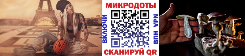 Псилоцибиновые грибы Cubensis Лесной